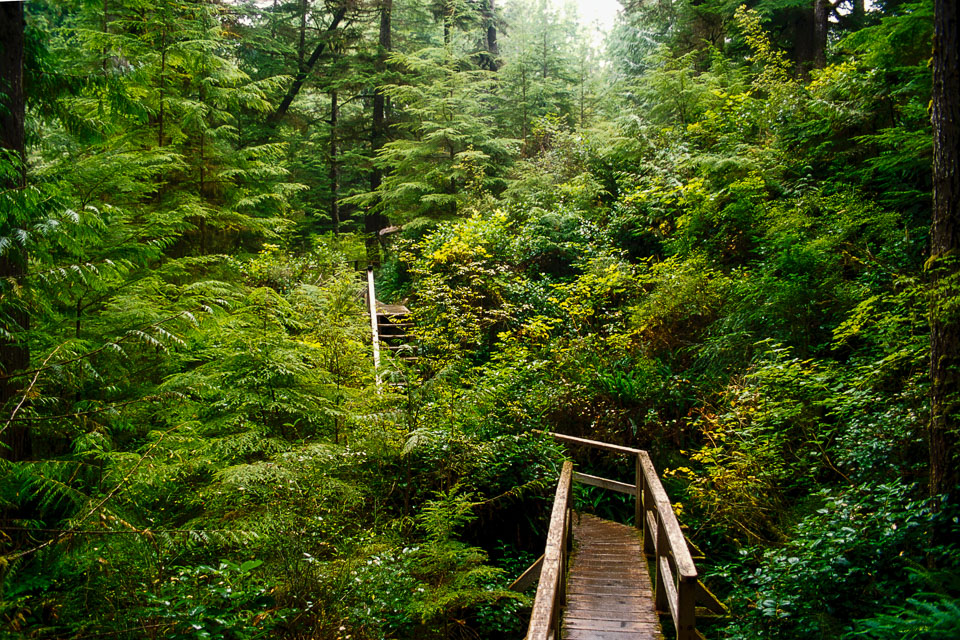 Pacific-Rim-PP-boardwalk.jpg