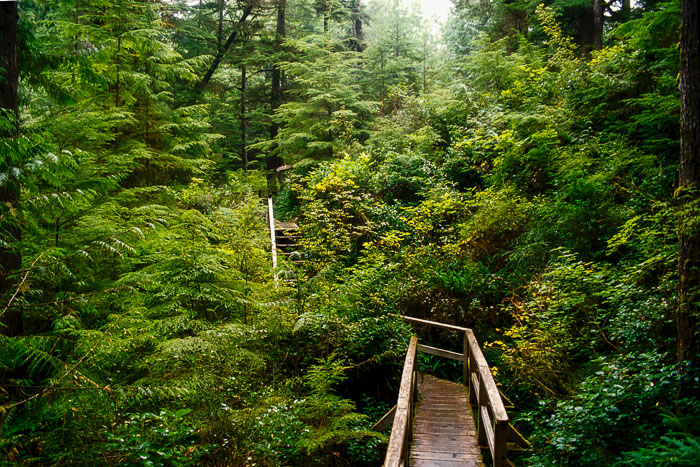 Pacific-Rim-PP-boardwalk.jpg