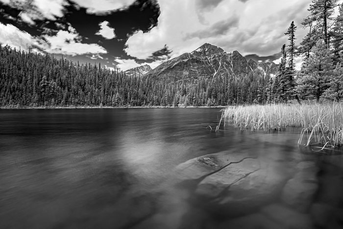 Cavell Lake Infrared 20140727-IMG_8782-Enhanced-Edit.jpg