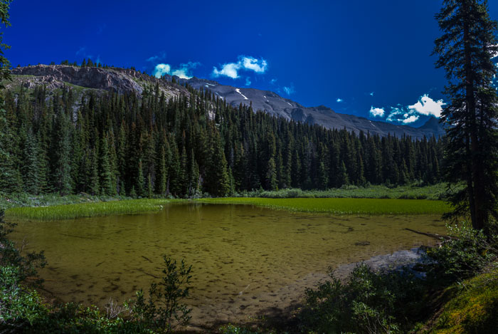 20140723-IMG_7894-Edit.jpg 20140723-IMG_7894-Edit.jpg