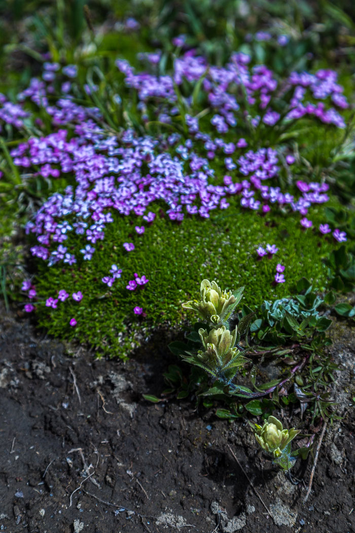 20140723-IMG_7953.jpg 20140723-IMG_7953.jpg