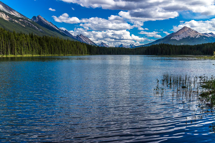 Honeymoon Lake 20140723-IMG_6475.jpg