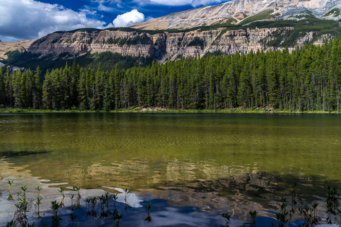 Honeymoon Lake 20140723-IMG_6486.jpg