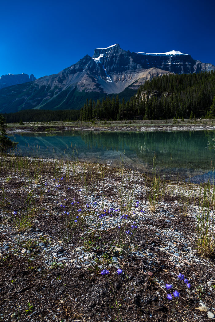 20140730-IMG_9975.jpg 20140730-IMG_9975.jpg