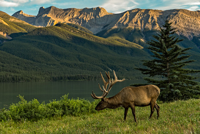 20140728-IMG_9093-Edit.jpg 20140728-IMG_9093-Edit.jpg