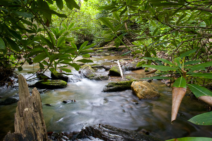 2005_IMG_2178.jpg 2005_IMG_2178.jpg