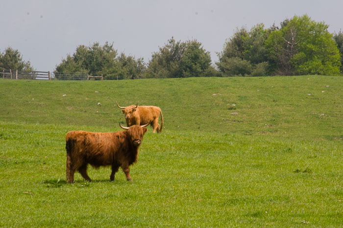 2005_IMG_2191.jpg 2005_IMG_2191.jpg