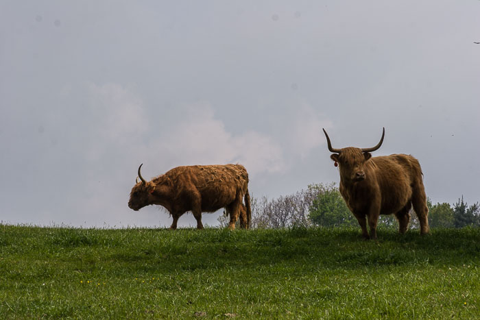 2005_IMG_2194.jpg 2005_IMG_2194.jpg