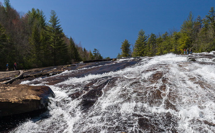 DuPont State Forest