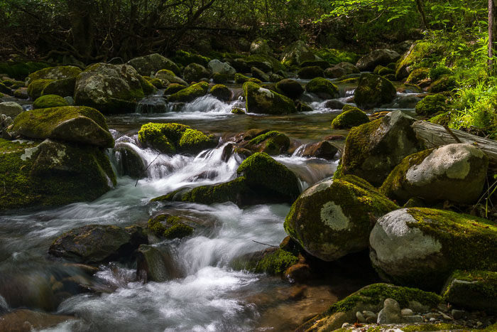 Great Smokey Mountains National Park