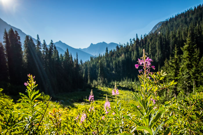 20150720-IMG_2108-HDR.jpg 20150720-IMG_2108-HDR.jpg