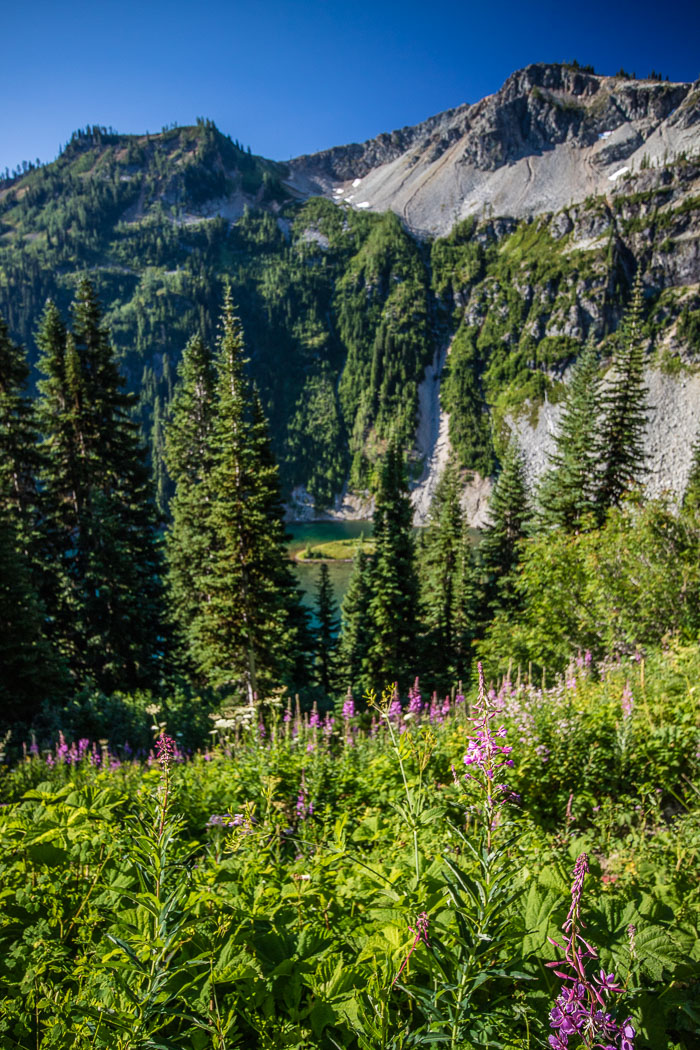 20150720-IMG_2117.jpg 20150720-IMG_2117.jpg