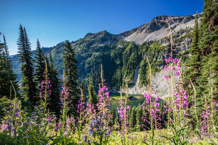 20150720-IMG_2118.jpg 20150720-IMG_2118.jpg