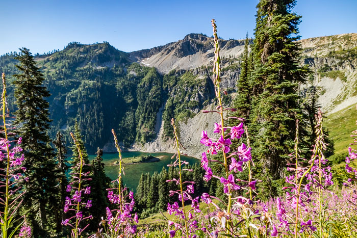 20150720-IMG_2128.jpg 20150720-IMG_2128.jpg