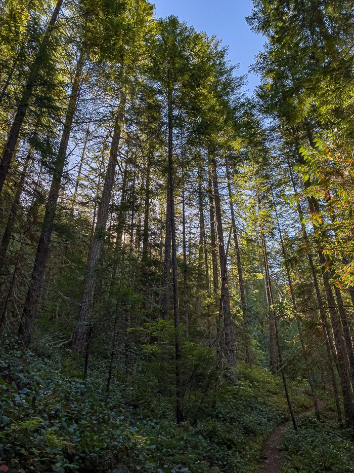 20210916-IMG_1940.jpg 20210916-IMG_1940.jpg