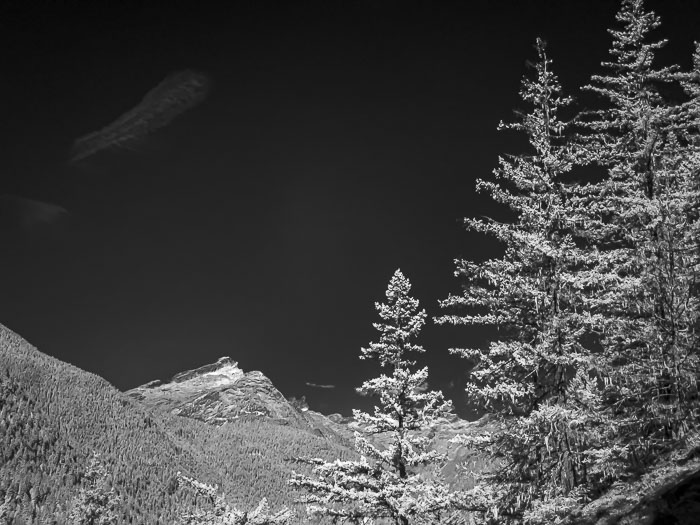 20210916-IMG_1942.jpg 20210916-IMG_1942.jpg