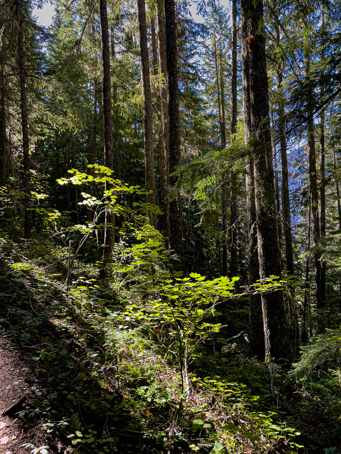 20210916-IMG_1945.jpg 20210916-IMG_1945.jpg