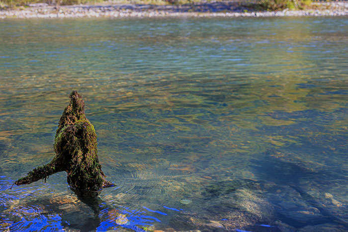 20210916-IMG_6607.jpg 20210916-IMG_6607.jpg