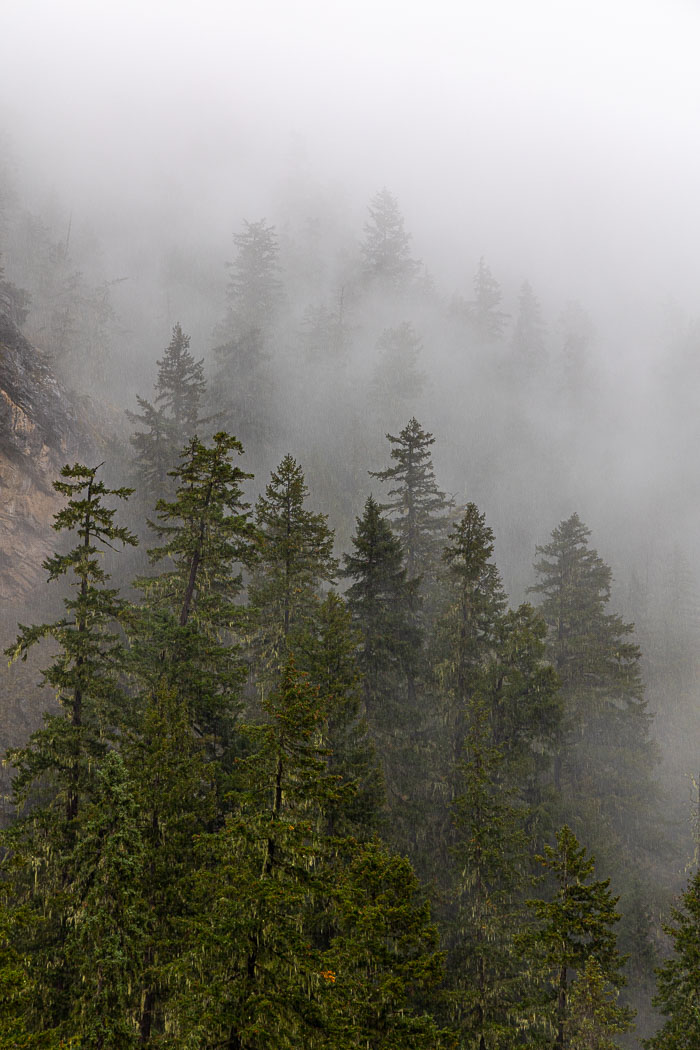 20210917-_I0A0804.jpg 20210917-_I0A0804.jpg