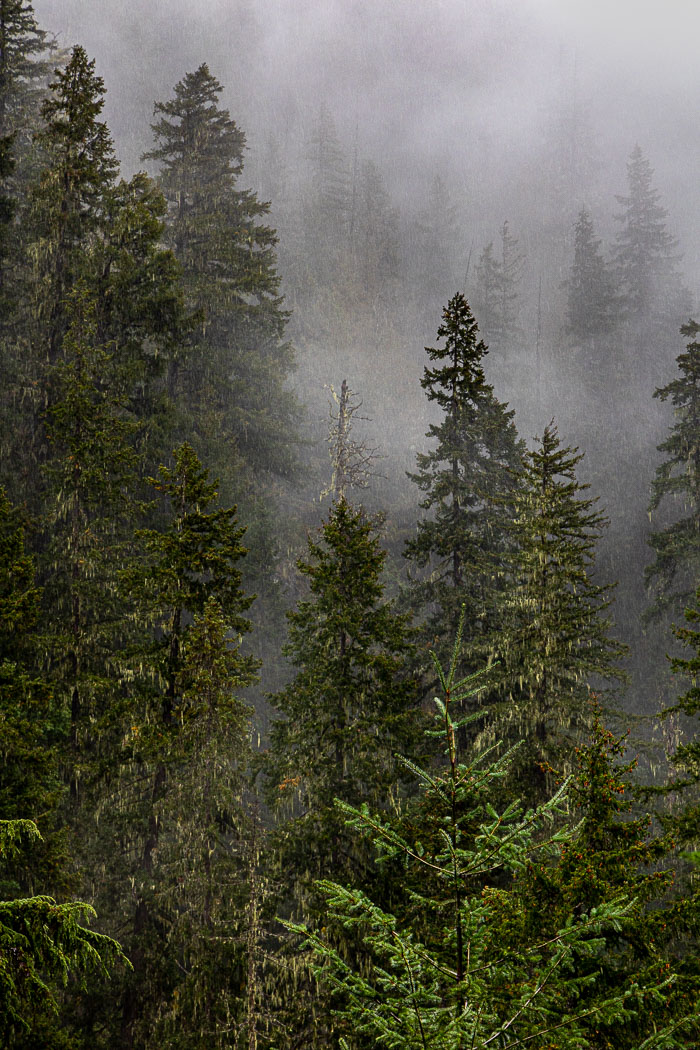 20210917-_I0A0807.jpg 20210917-_I0A0807.jpg