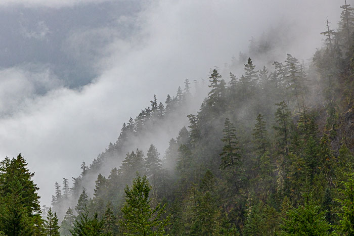 20210917-_I0A0809.jpg 20210917-_I0A0809.jpg