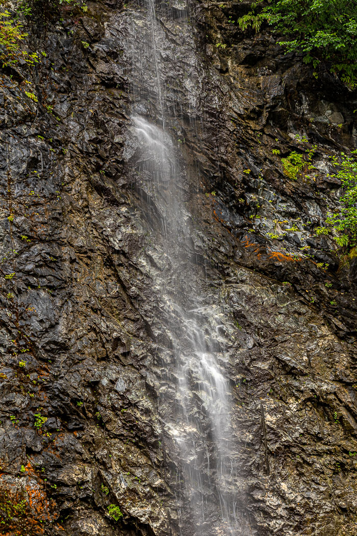 20210917-_I0A0820.jpg 20210917-_I0A0820.jpg