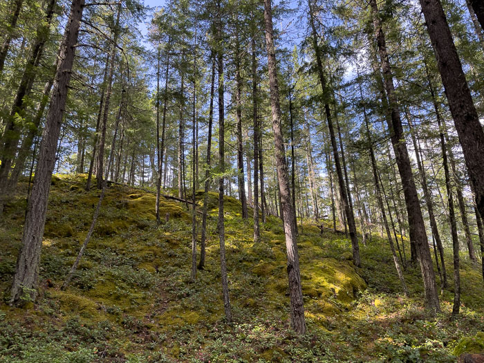 20210918-IMG_1981.jpg 20210918-IMG_1981.jpg