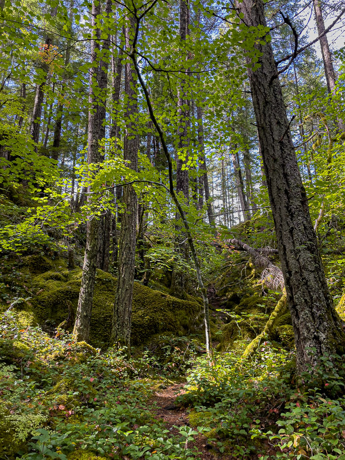 20210918-IMG_1985.jpg 20210918-IMG_1985.jpg