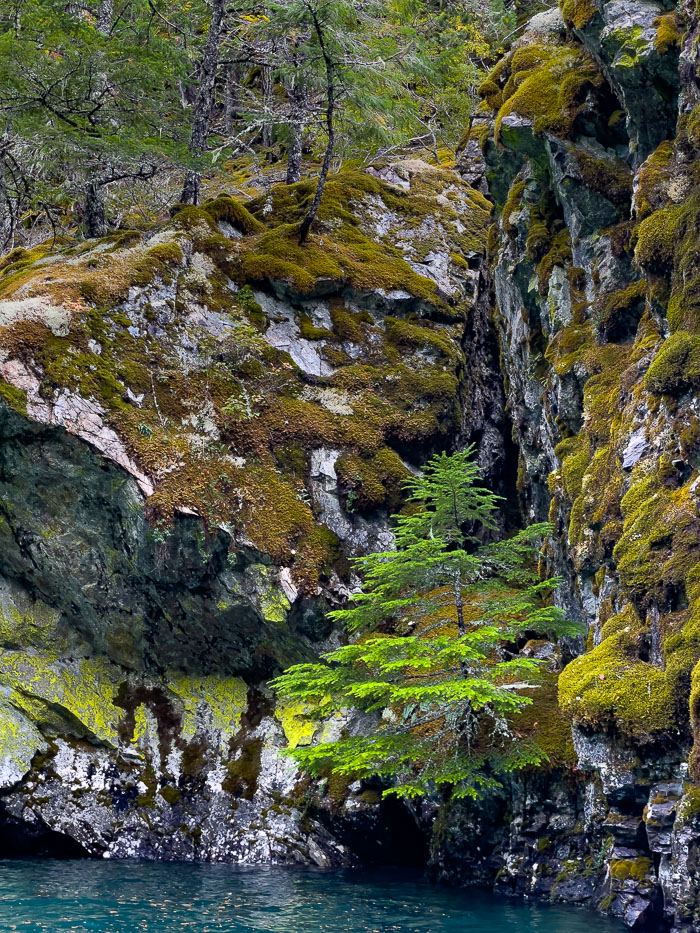 20210918-IMG_1995.jpg 20210918-IMG_1995.jpg