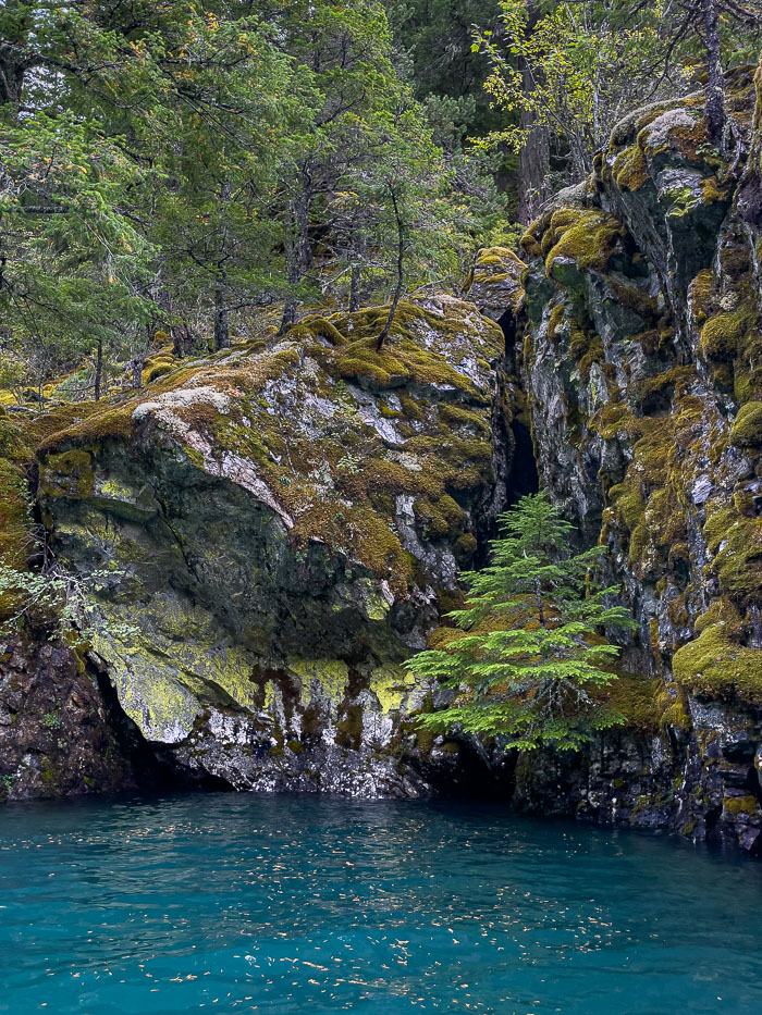 20210918-IMG_1998.jpg 20210918-IMG_1998.jpg