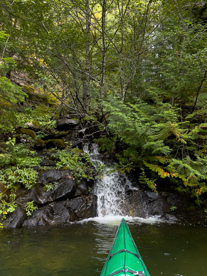 20210918-IMG_2006.jpg 20210918-IMG_2006.jpg