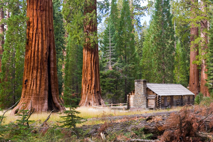 Yosemite National Park