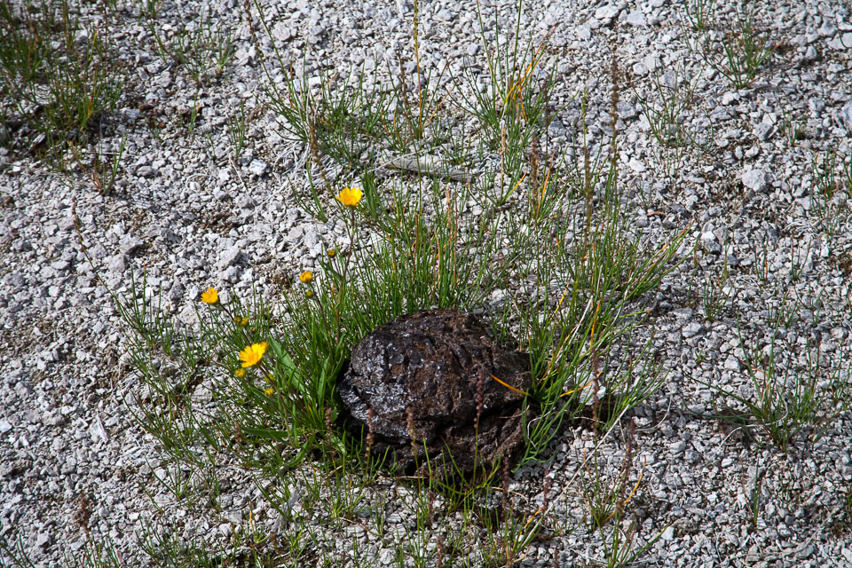 20090704-IMG_8825.jpg
