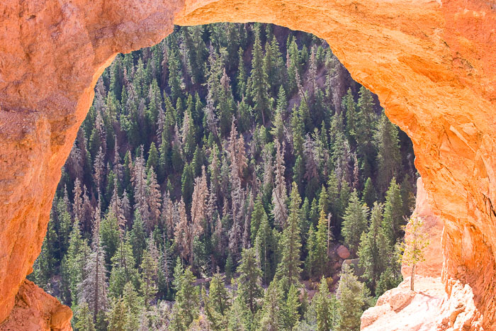 Bryce Canyon National Park