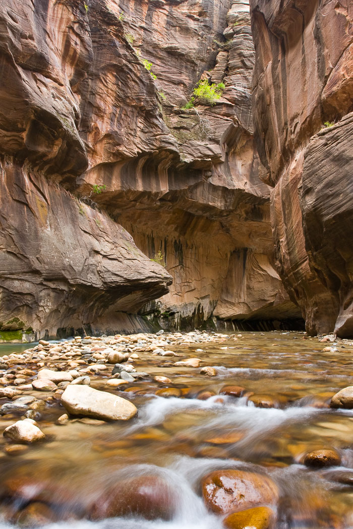 Zion National Park