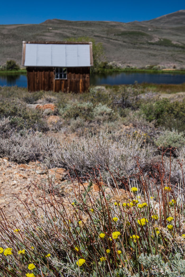 20120630-IMG_6156.jpg 20120630-IMG_6156.jpg