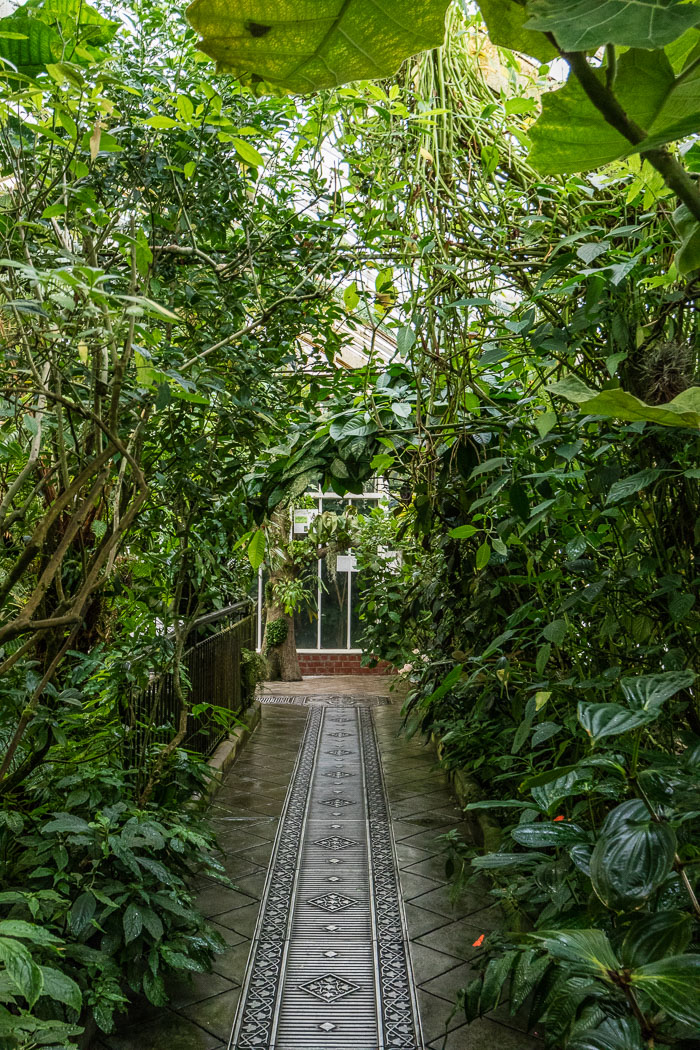 20150913-IMG_2704.jpg 20150913-IMG_2704.jpg