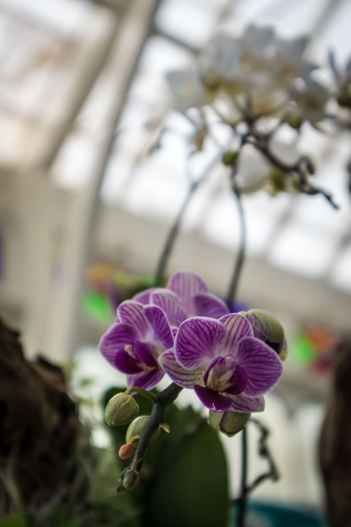 20170408-IMG_8627.jpg 20170408-IMG_8627.jpg