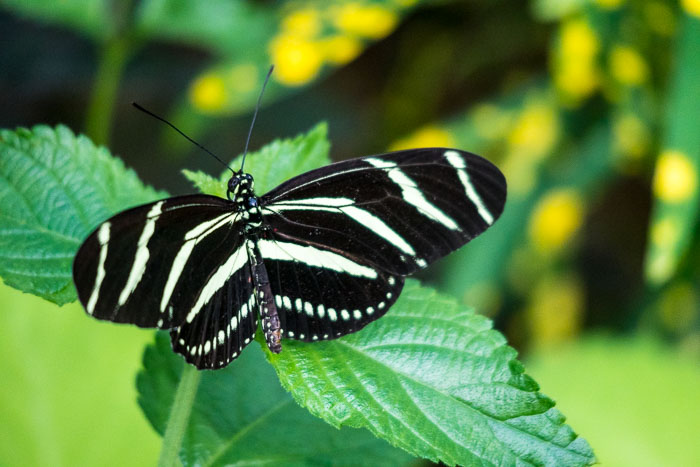 20170408-IMG_8640.jpg 20170408-IMG_8640.jpg