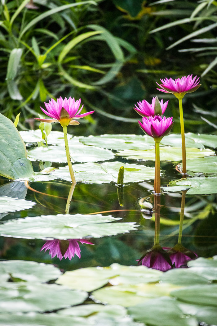 20170408-IMG_8658.jpg 20170408-IMG_8658.jpg