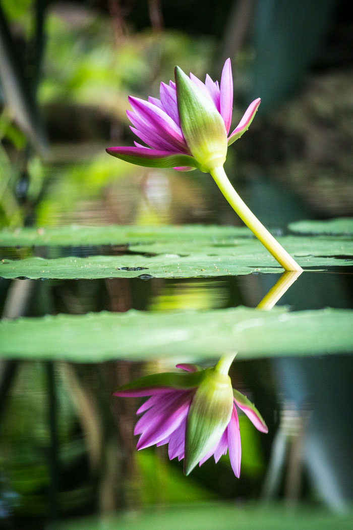 20170408-IMG_8660.jpg 20170408-IMG_8660.jpg