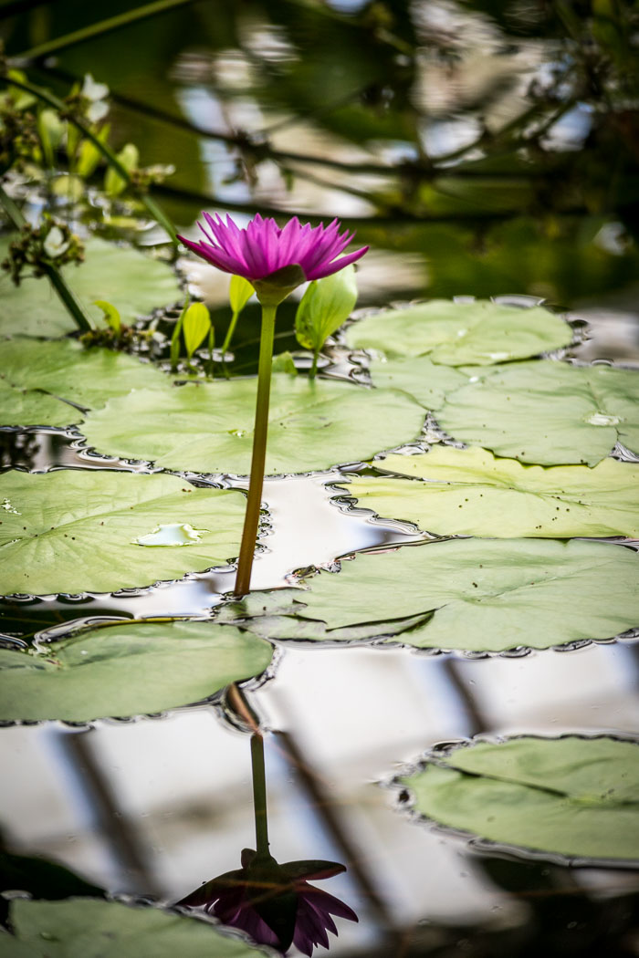 20170408-IMG_8662.jpg 20170408-IMG_8662.jpg