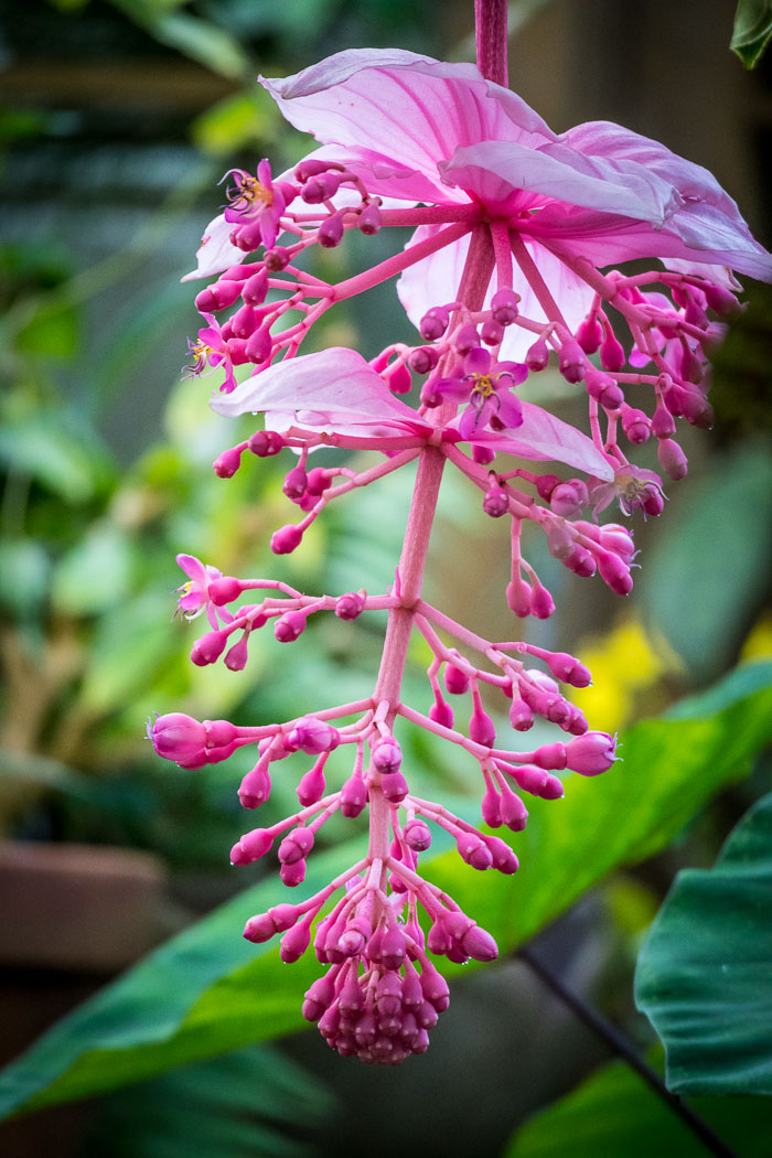 20170408-IMG_8663.jpg 20170408-IMG_8663.jpg