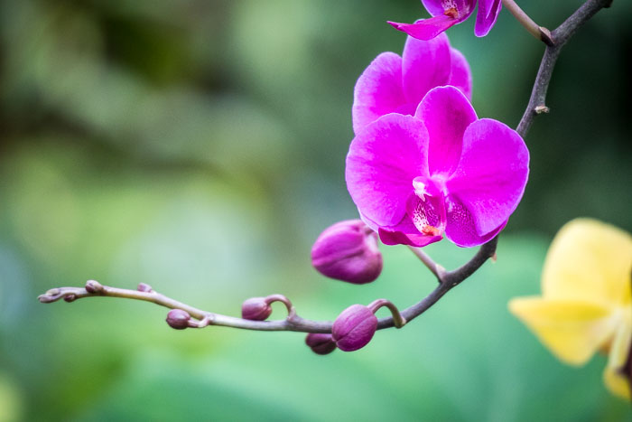 20170408-IMG_8665.jpg 20170408-IMG_8665.jpg