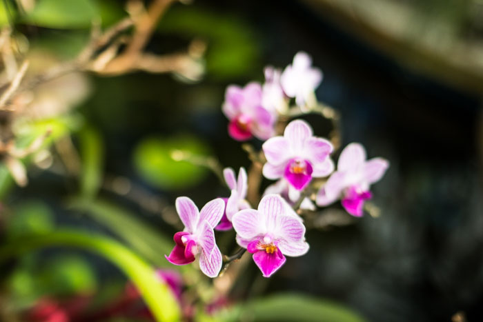 20170408-IMG_8673.jpg 20170408-IMG_8673.jpg