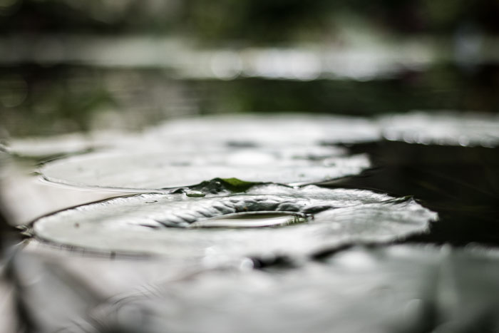 20170408-IMG_8679.jpg 20170408-IMG_8679.jpg