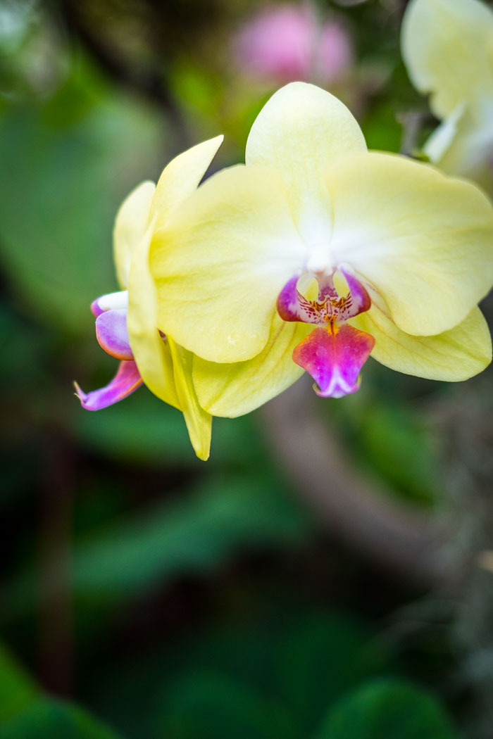 20170408-IMG_8687.jpg 20170408-IMG_8687.jpg