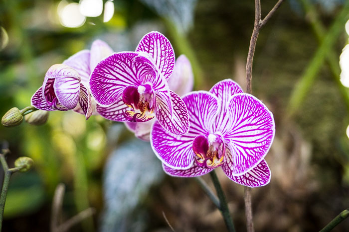 20170408-IMG_8689.jpg 20170408-IMG_8689.jpg