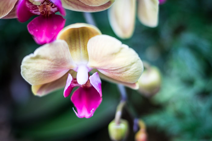 20170408-IMG_8691.jpg 20170408-IMG_8691.jpg