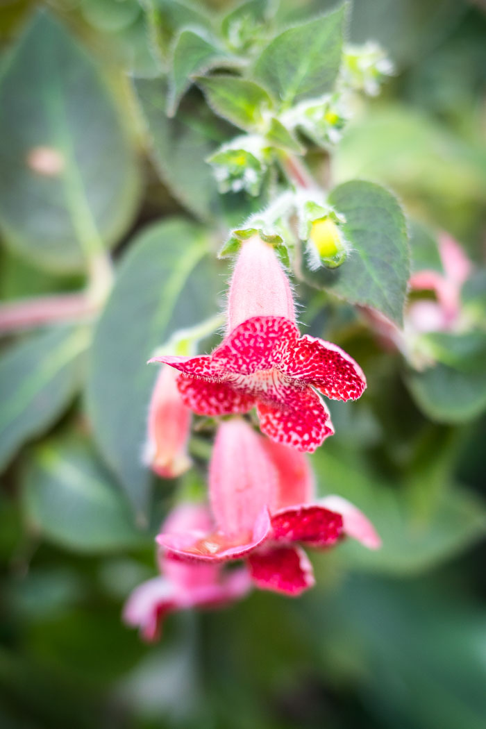 20170408-IMG_8698.jpg 20170408-IMG_8698.jpg